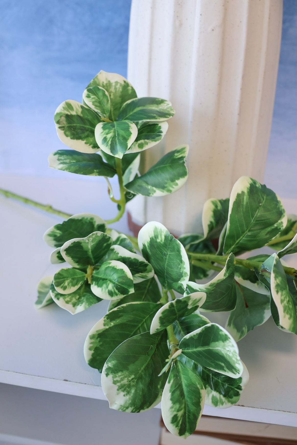 Real Touch Variegated Pittosporum Bush