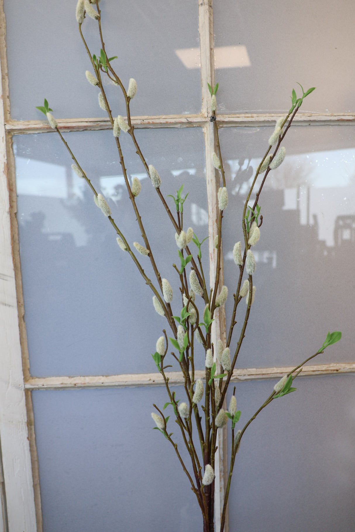 Jumbo Finding Beauty Willow Stem