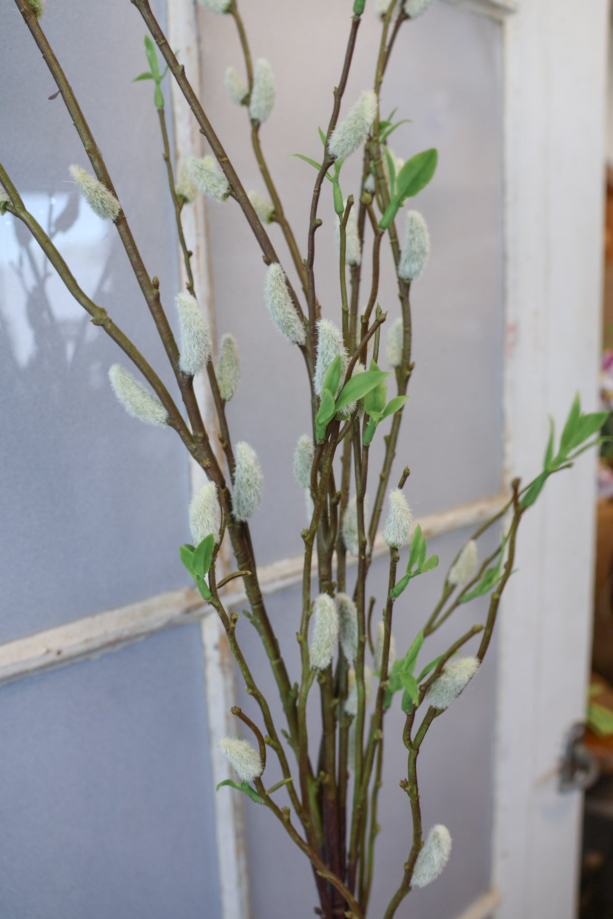 Jumbo Finding Beauty Willow Stem