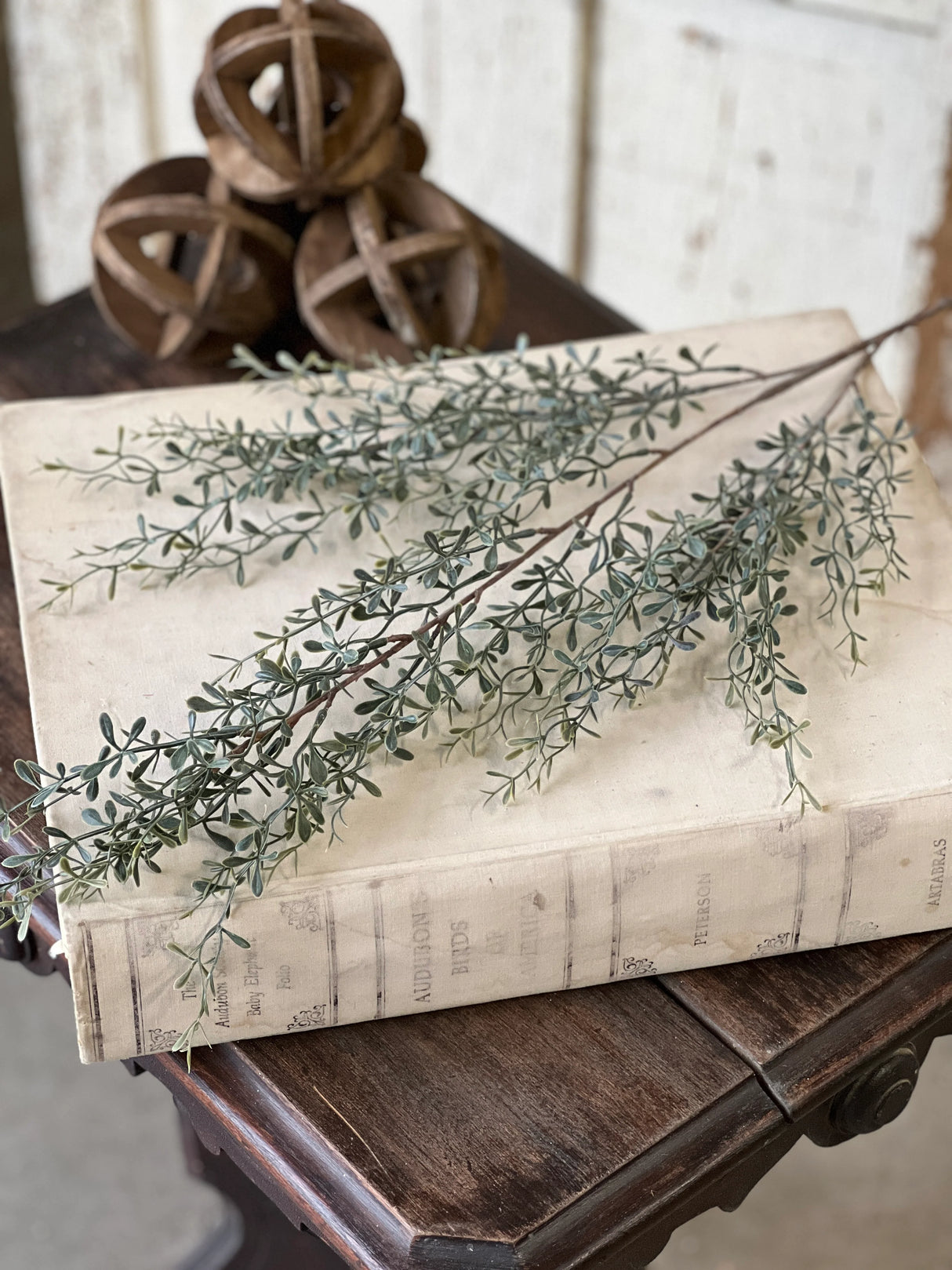 Green Lacewing Leaves Spray