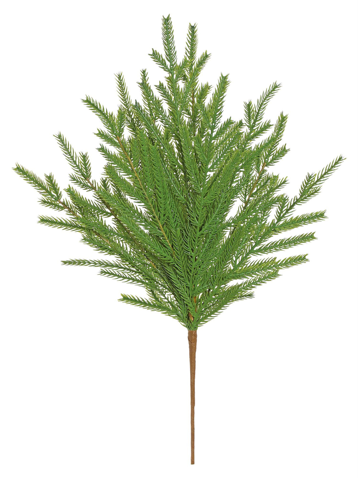 Joy Norfolk Pine Bush
