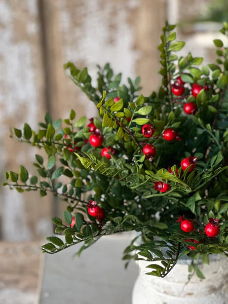 Lively Berry Bough Bush