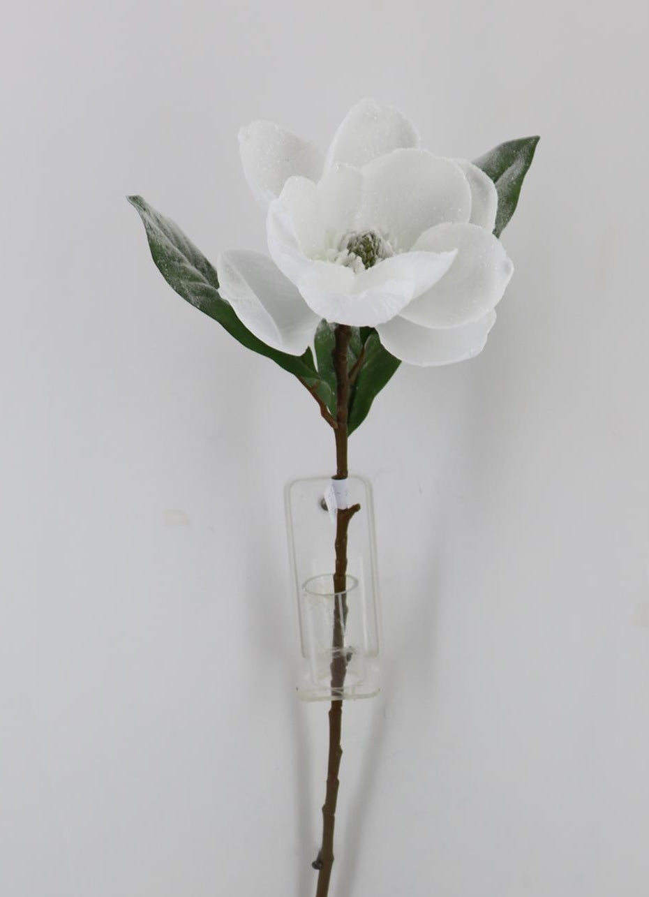 White Winter Magnolia Spray