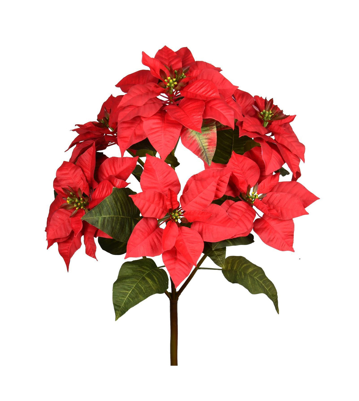 Holiday Red Poinsettia Bush