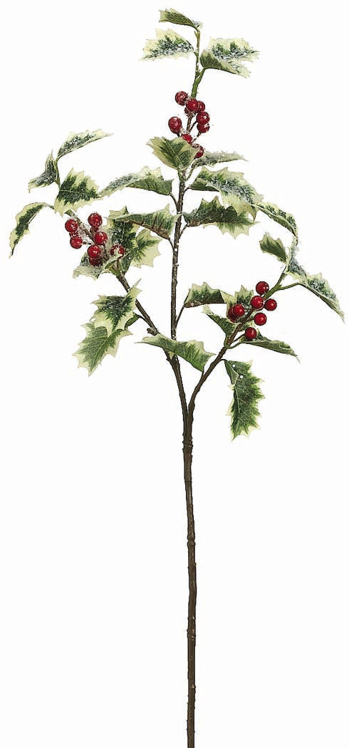 Iced Variegated Holly Spray