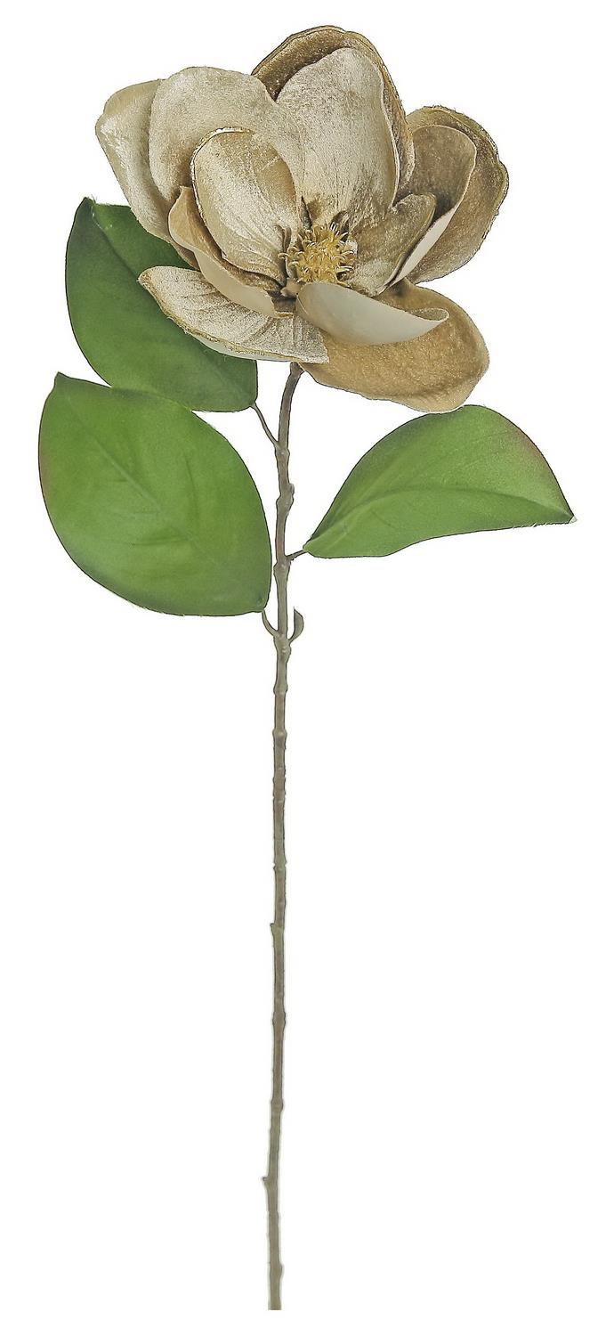 Velvet Mocha Magnolia With Gold Edge