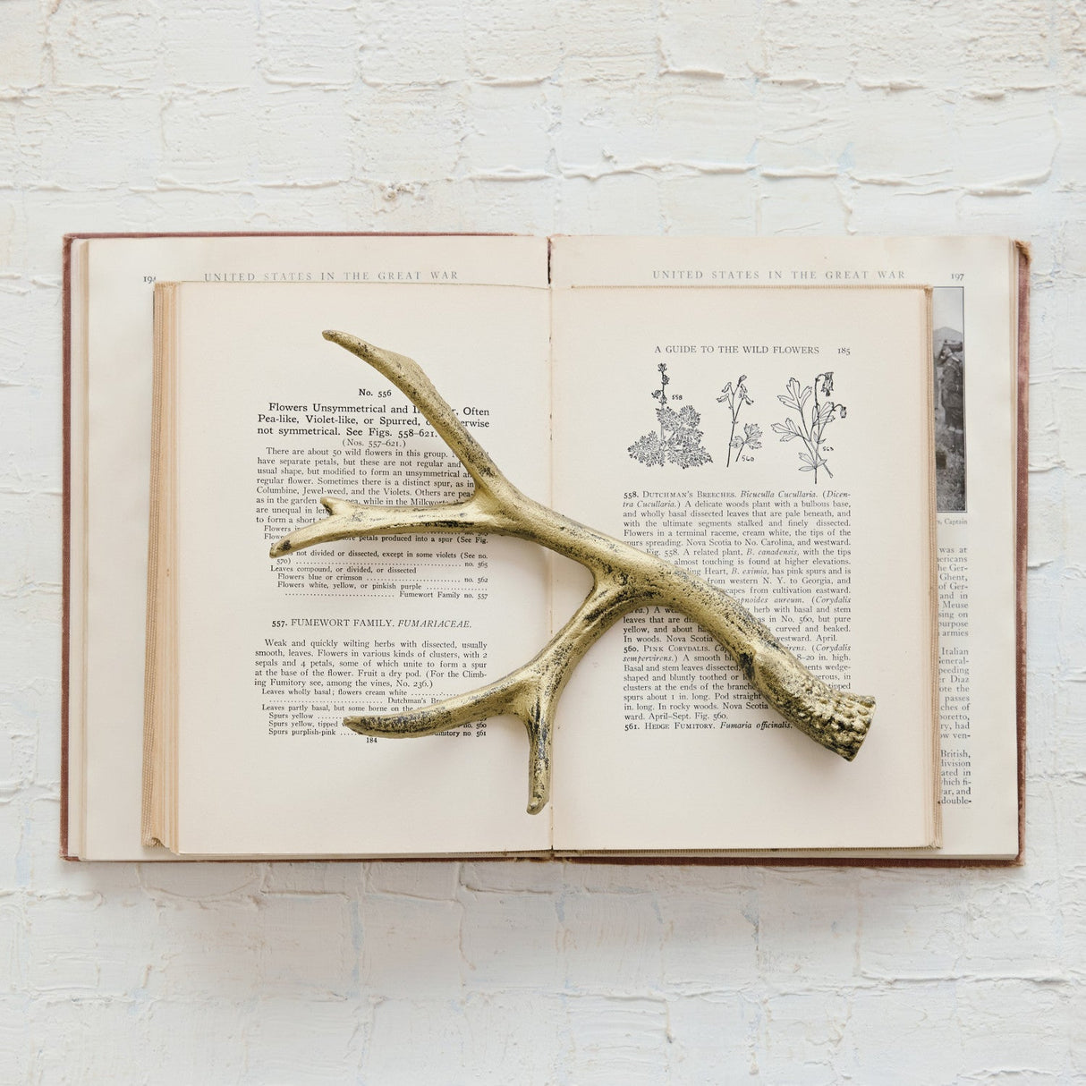 Cast Iron Antler