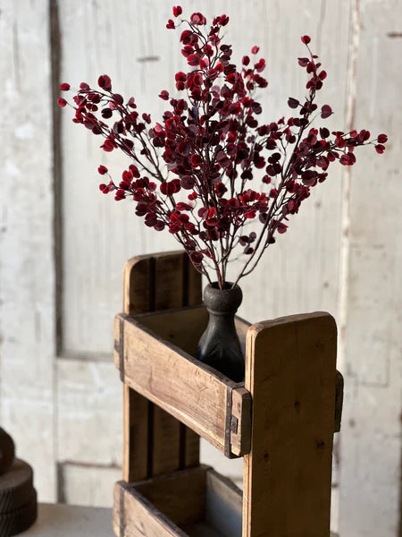 Rushing Red Leaves Bush