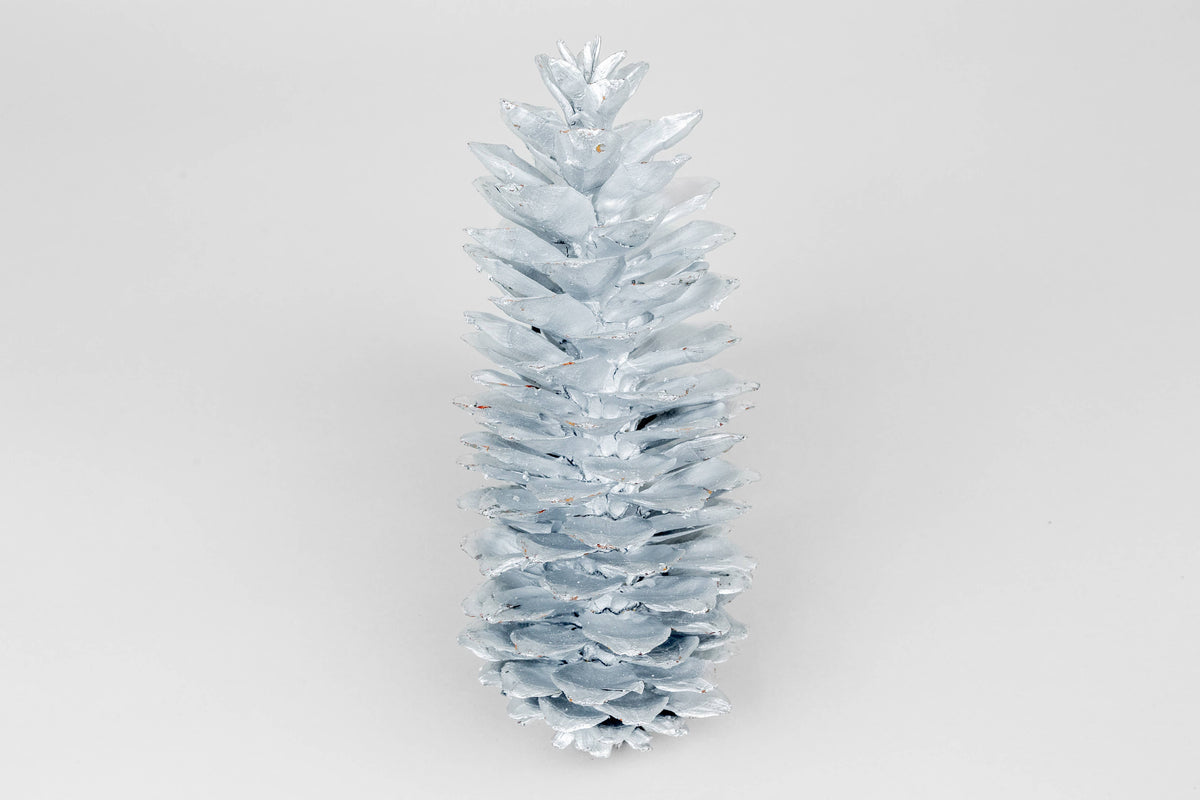Metallic Silver Painted Sugar Pinecones - 9-12 Inches Tall