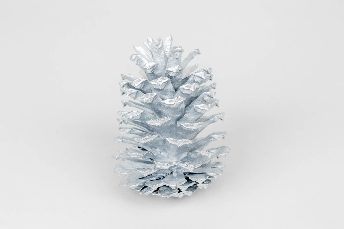 Metallic Silver Painted Slash Pinecones - 4-6 Inches Tall
