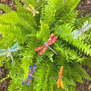 Copper Enamel Dragonflies