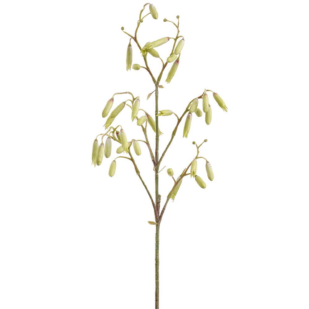 Green Magic Bell Spray