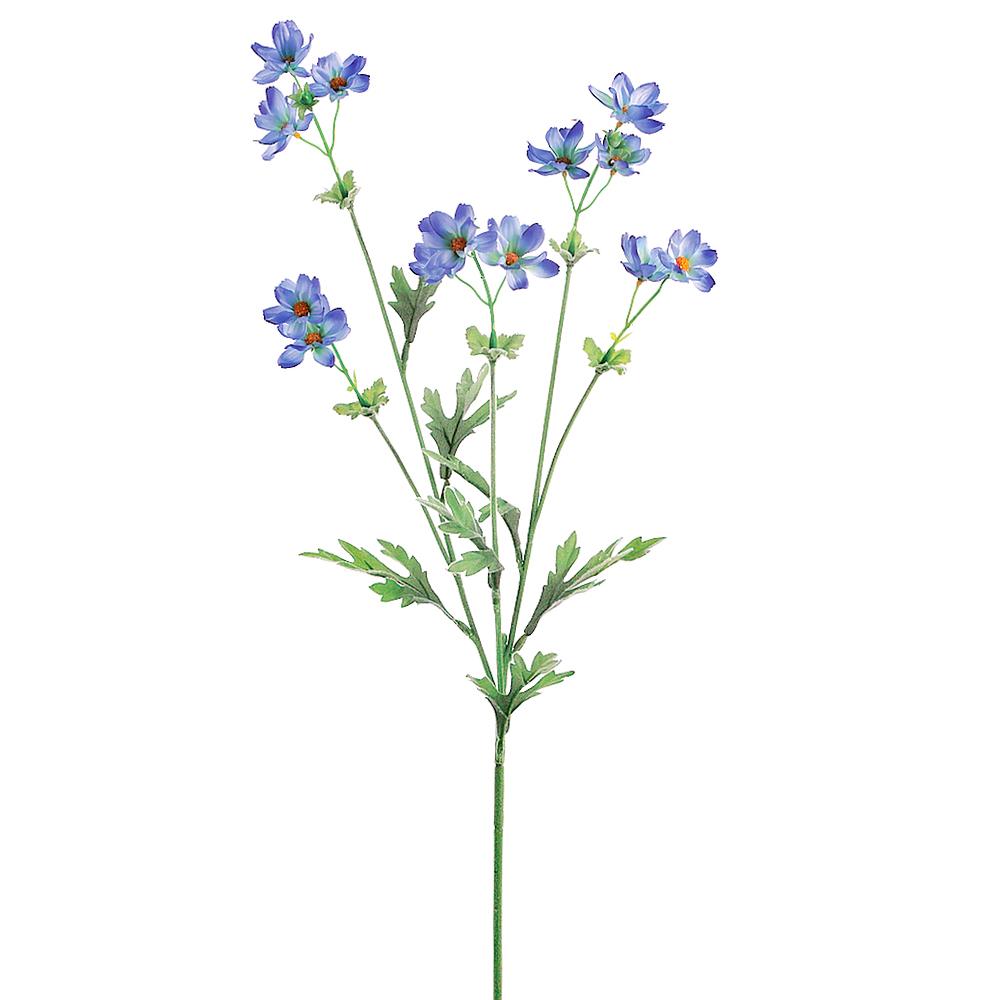 Blue Baby Cosmos Spray