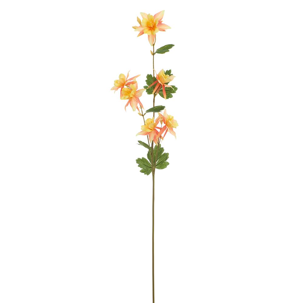 Yellow Coral Columbine Spray