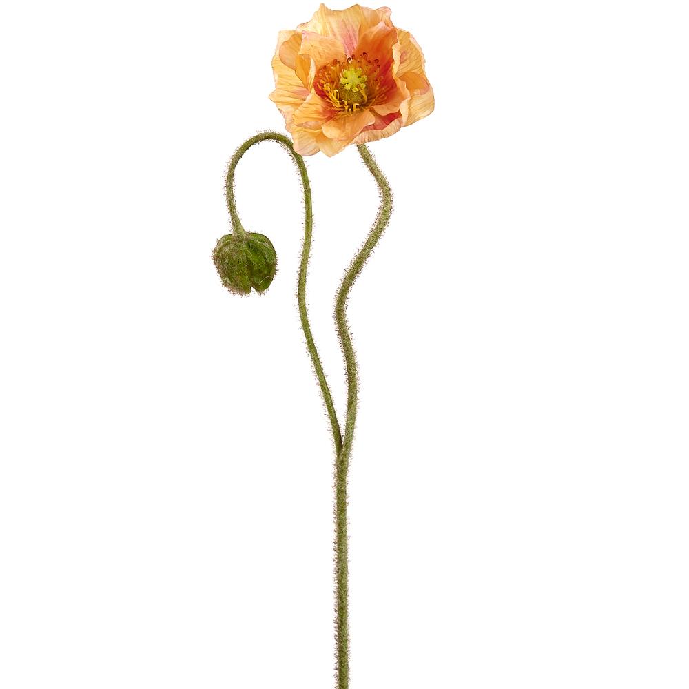 Coral Poppy Spray With Bud