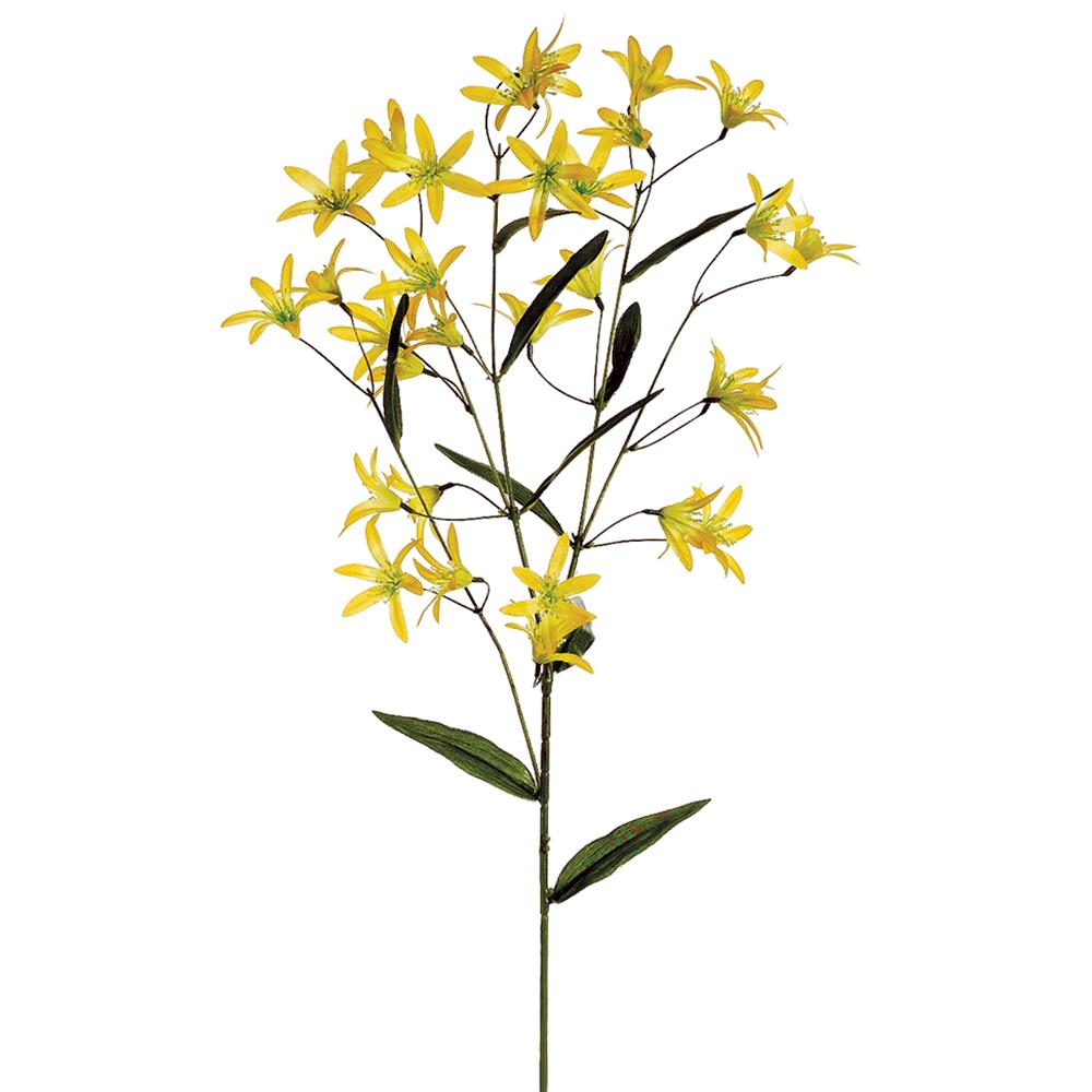 Yellow Tweedia Spray