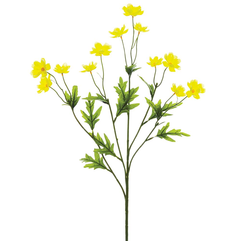 Yellow Mini Cosmos Spray