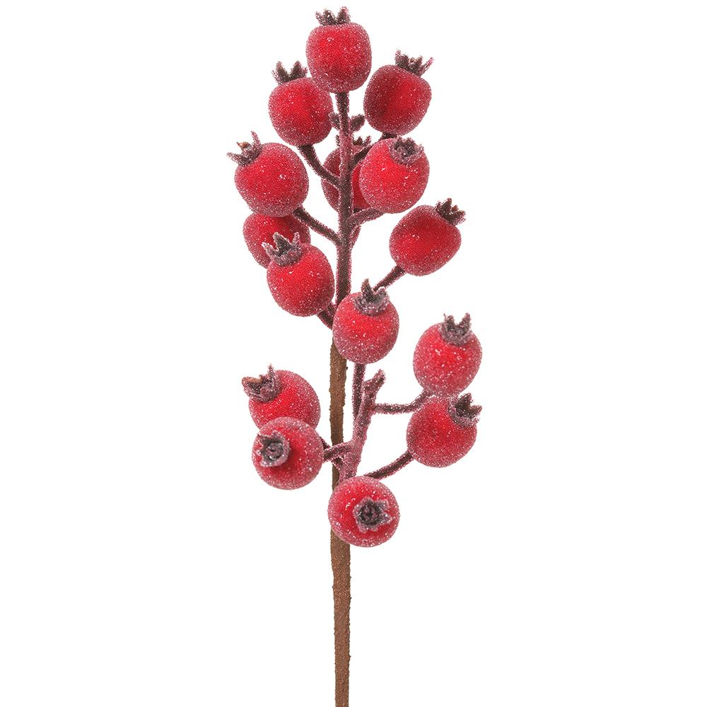 Red Rosehip Spray