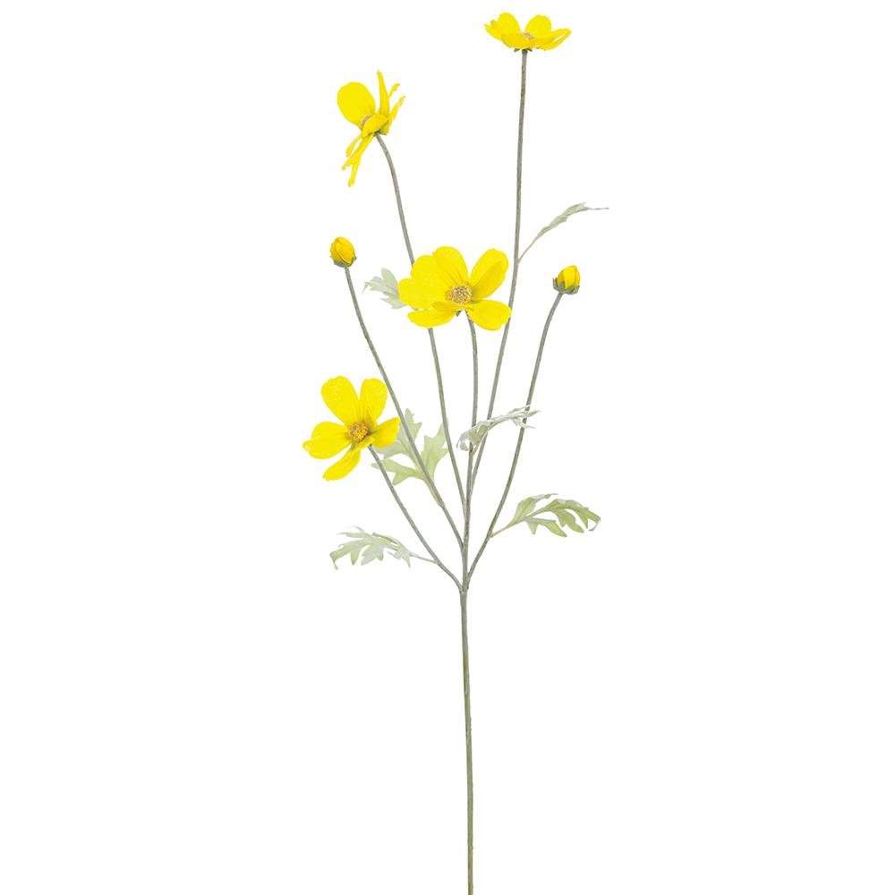Yellow Cosmos Spray