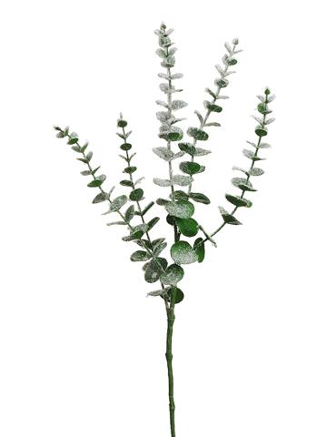 White Snowed Eucalyptus Spray