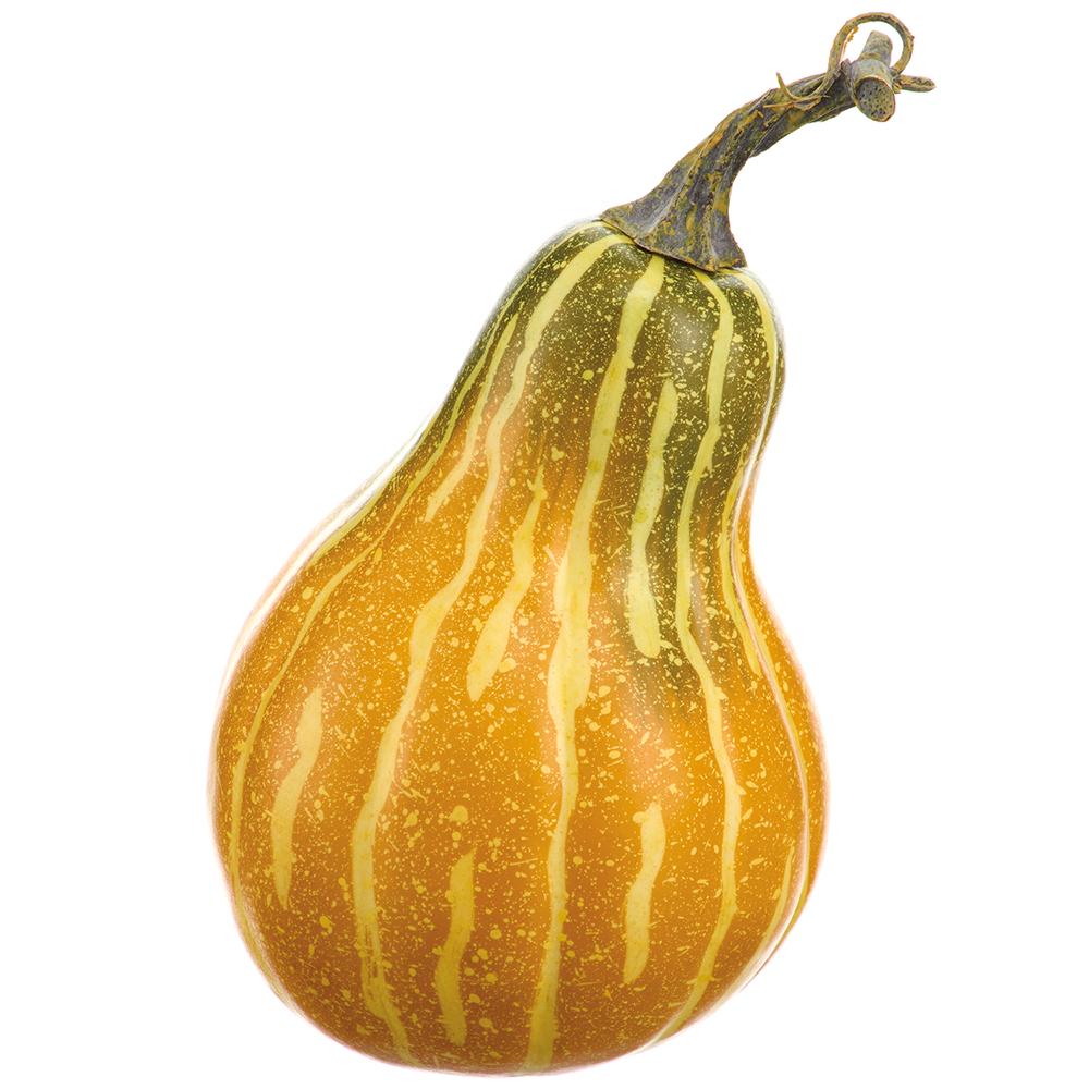 Ombre Orange Gourd