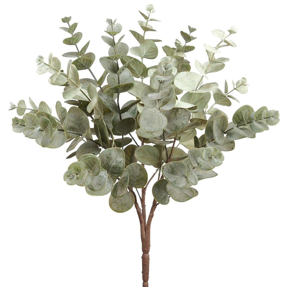 Natural Beauty Eucalyptus Bush
