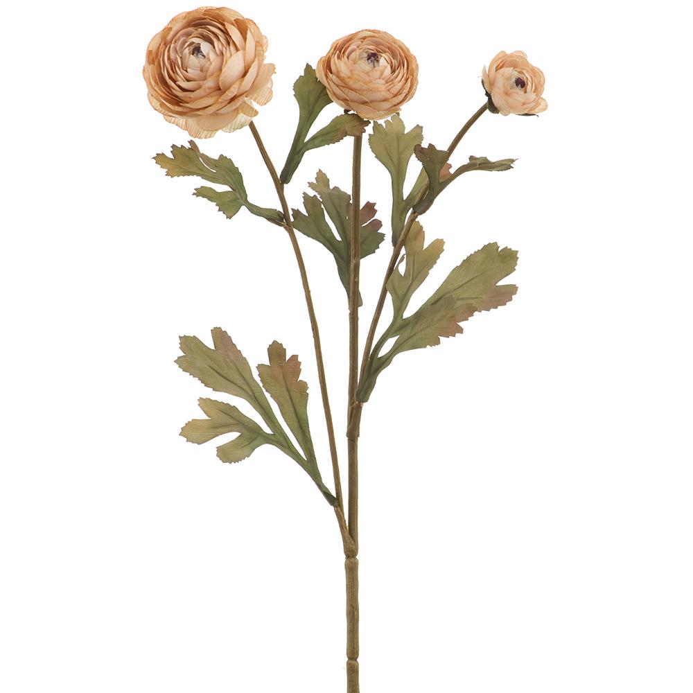 Warm Beige Ranunculus Spray