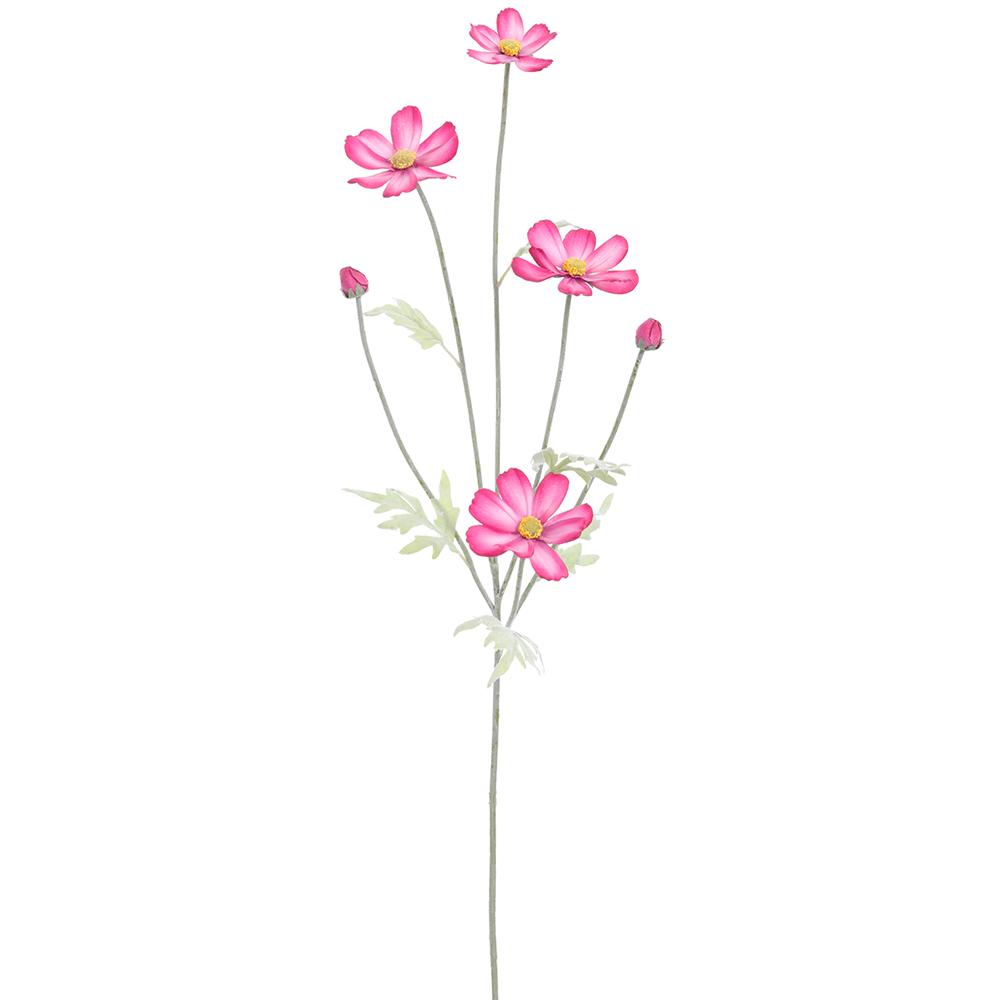 Pink Beauty Cosmos Spray