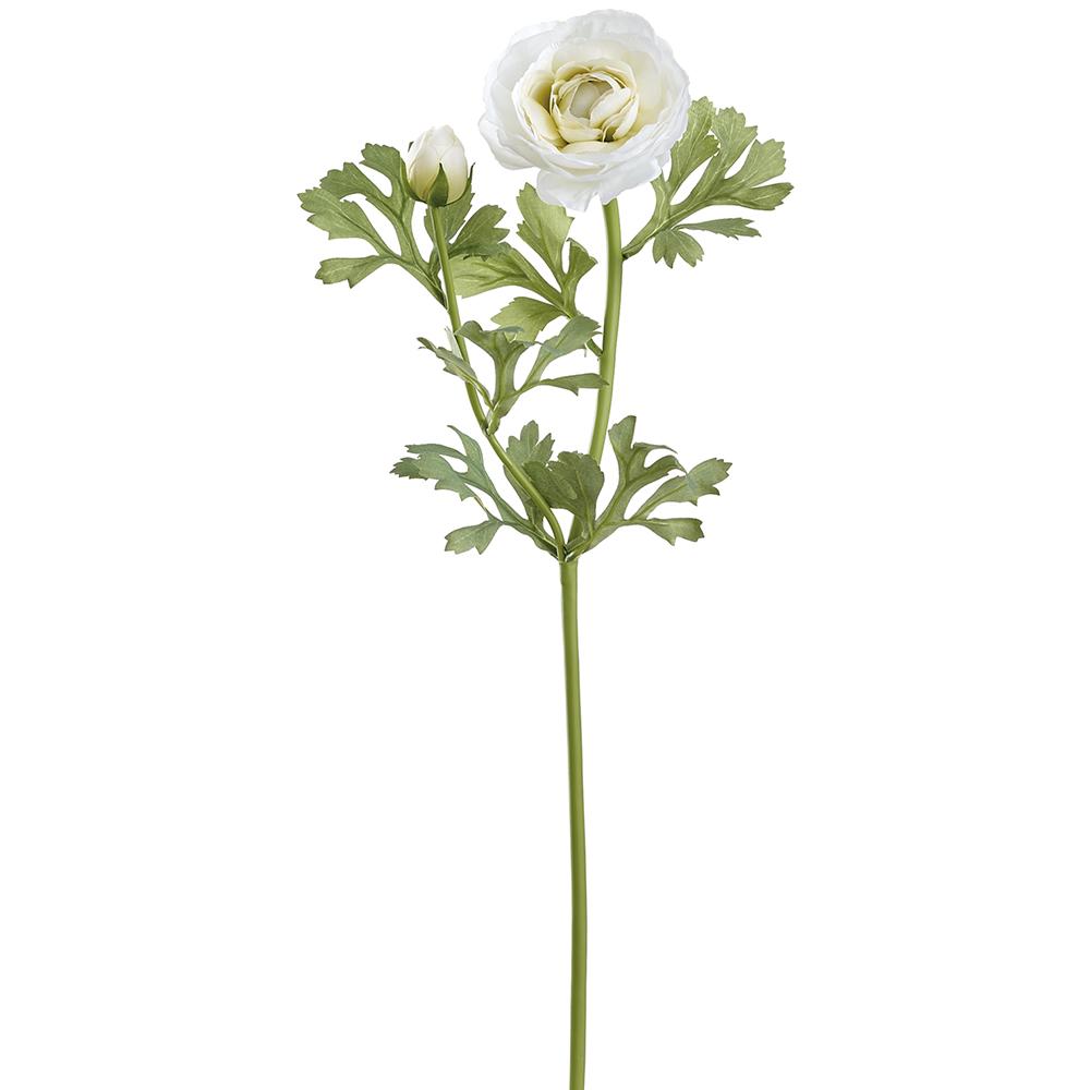 White Ranunculus Spray
