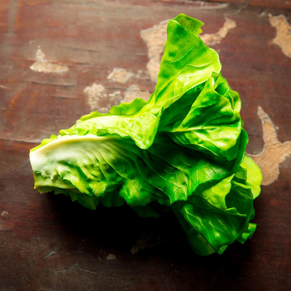 6" Lettuce Artificial