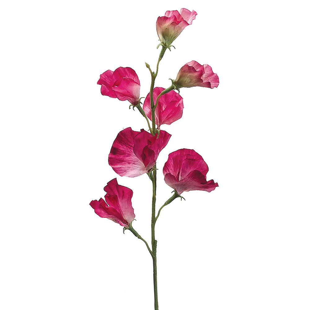 Fushcia Sweet Pea Spray