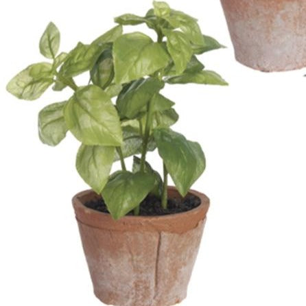 7.5" Herb in Clay Pot