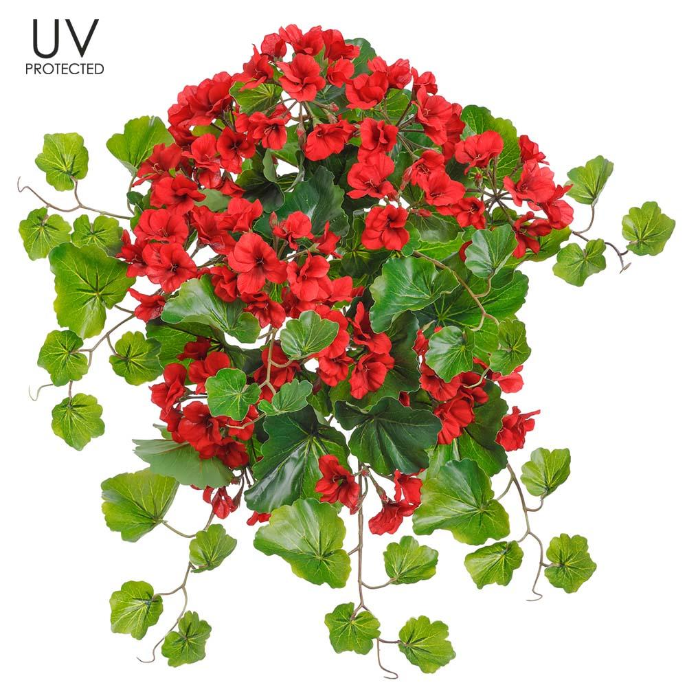 UV Protect Red Geranium Bush