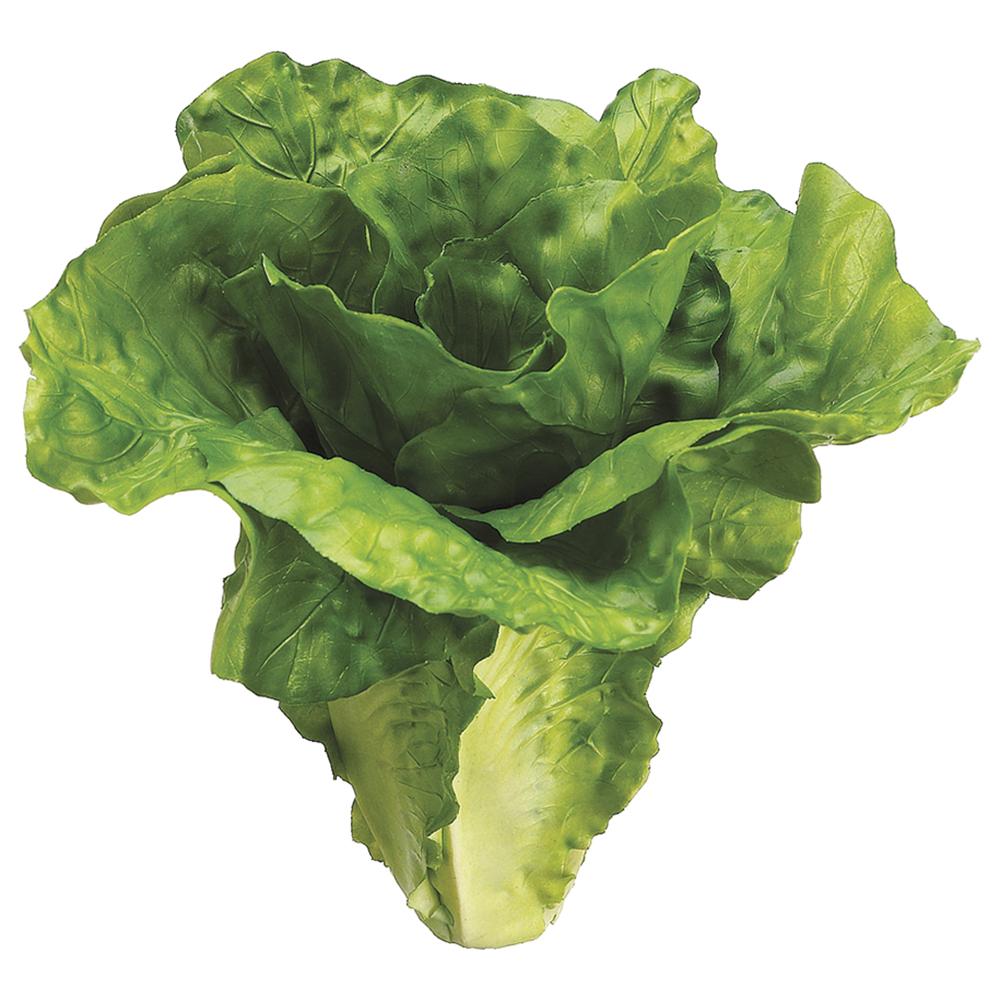 6" Lettuce Artificial
