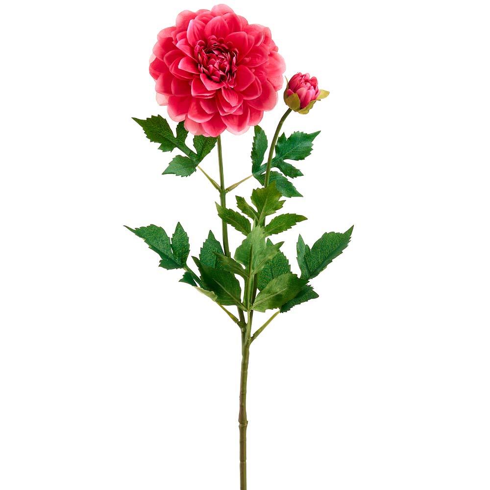 Magenta Dahlia Spray