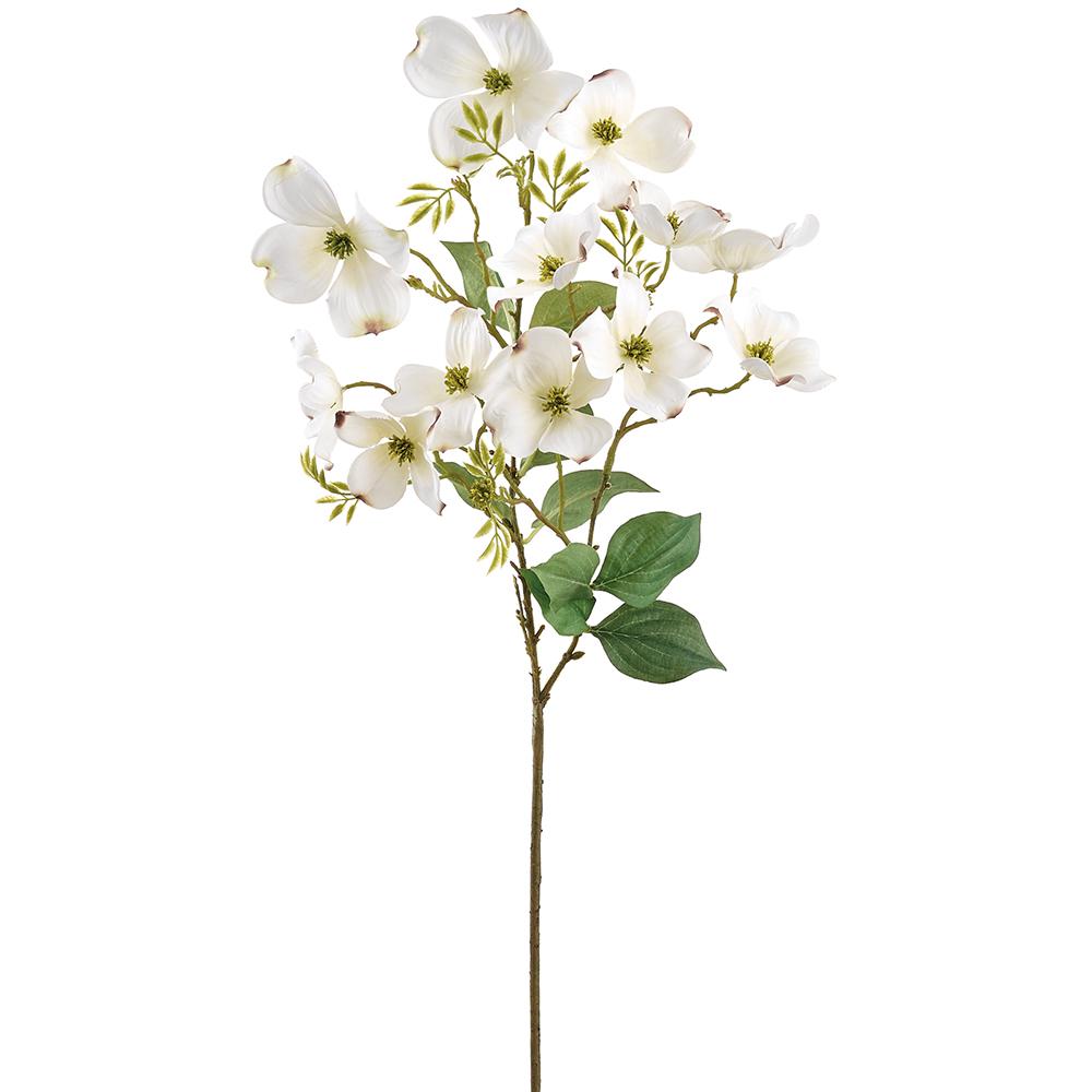 White Dogwood Spray