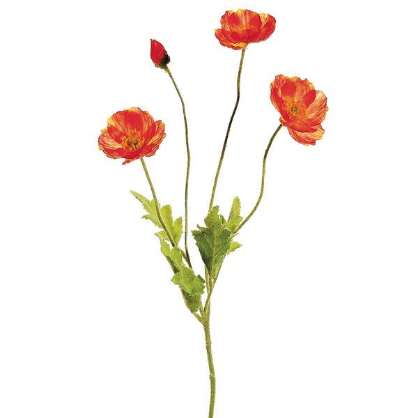Flame Poppy Spray