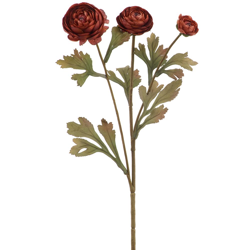 Rust Ranunculus Spray