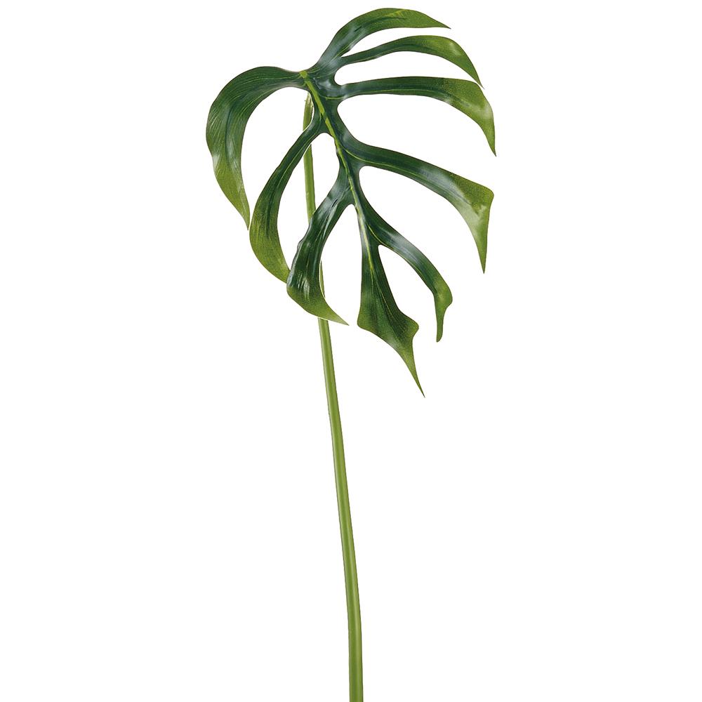 Green Monstera Leaf Spray