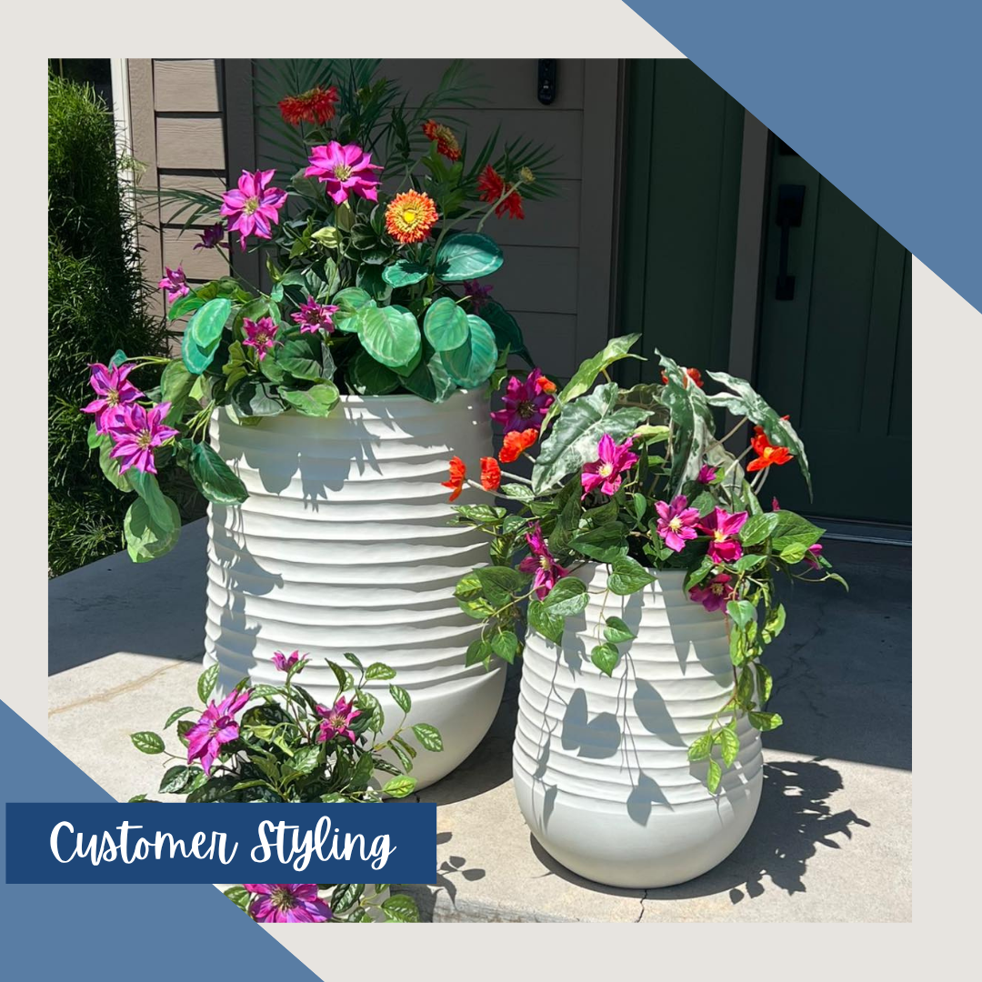 Elephant Ear Philo Leaf Bush