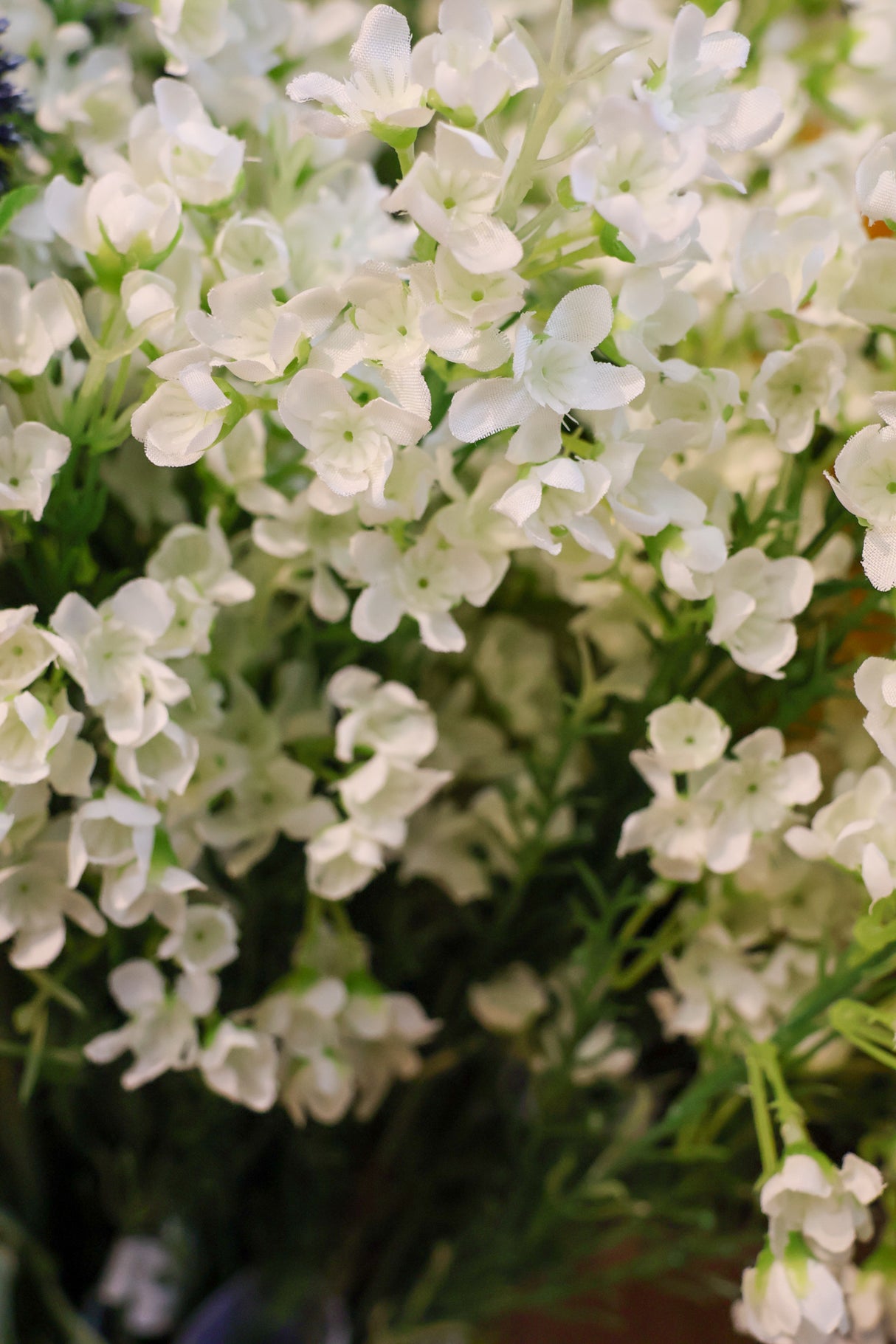 Cream Single Waxflower Spray