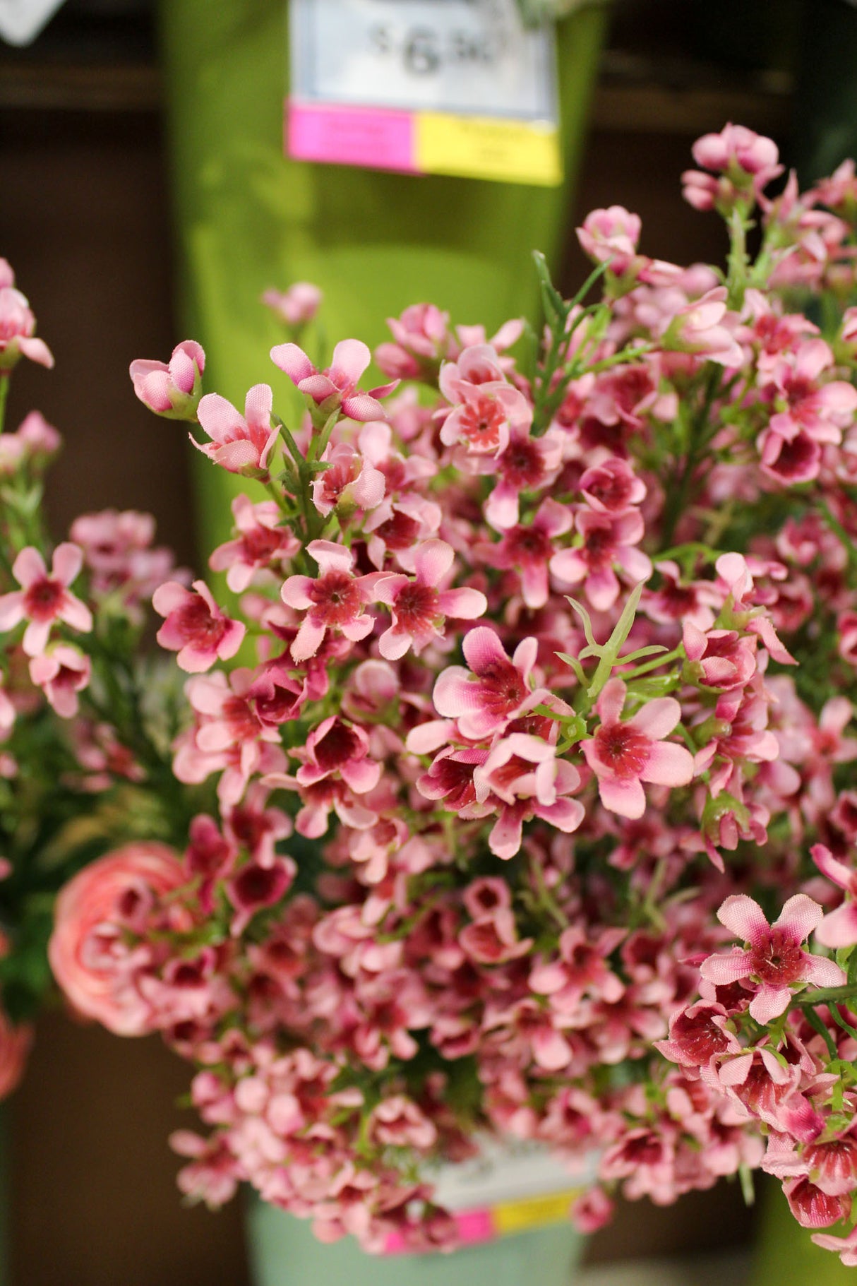 Mauve Waxflower Spray