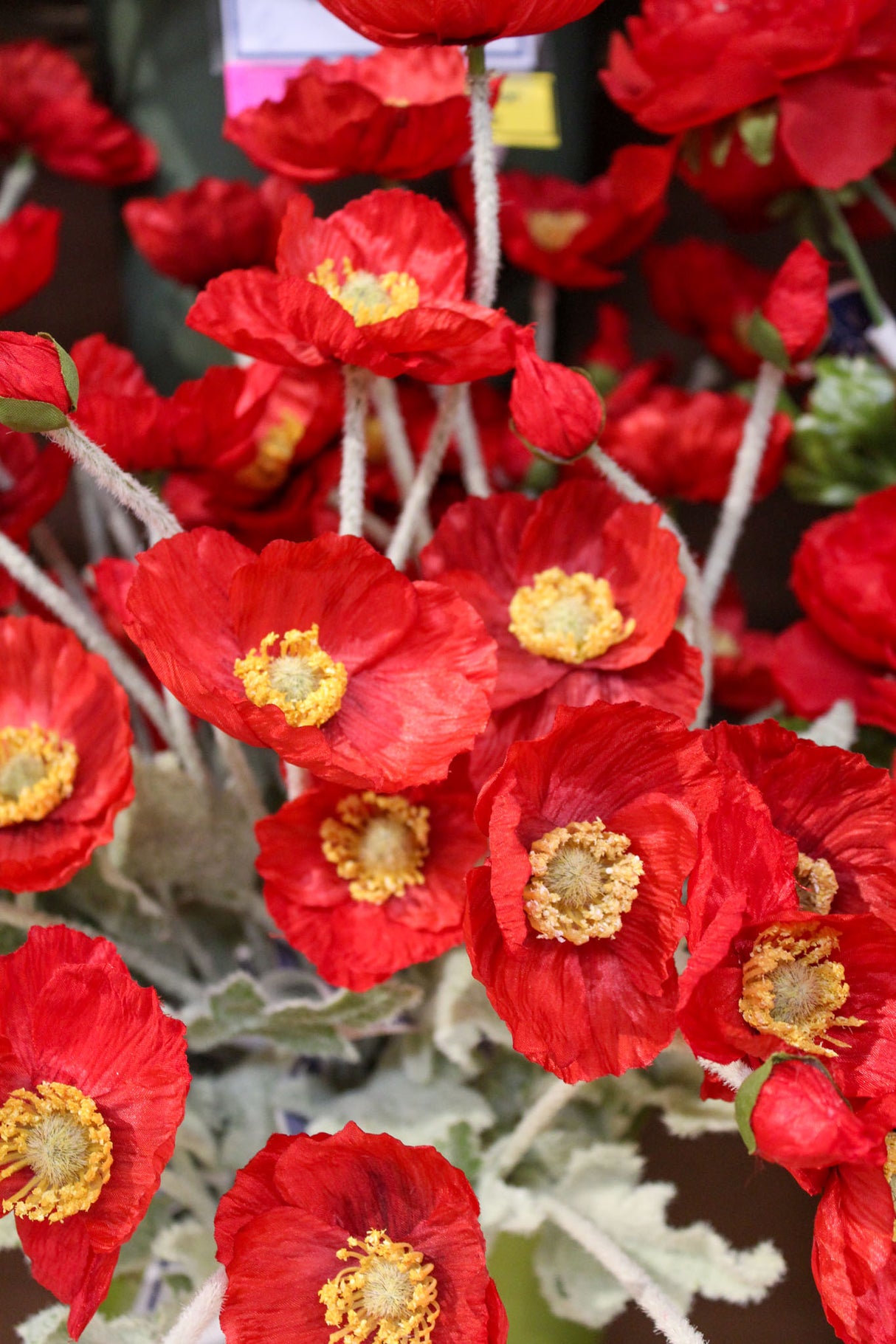 Red Poppy Spray