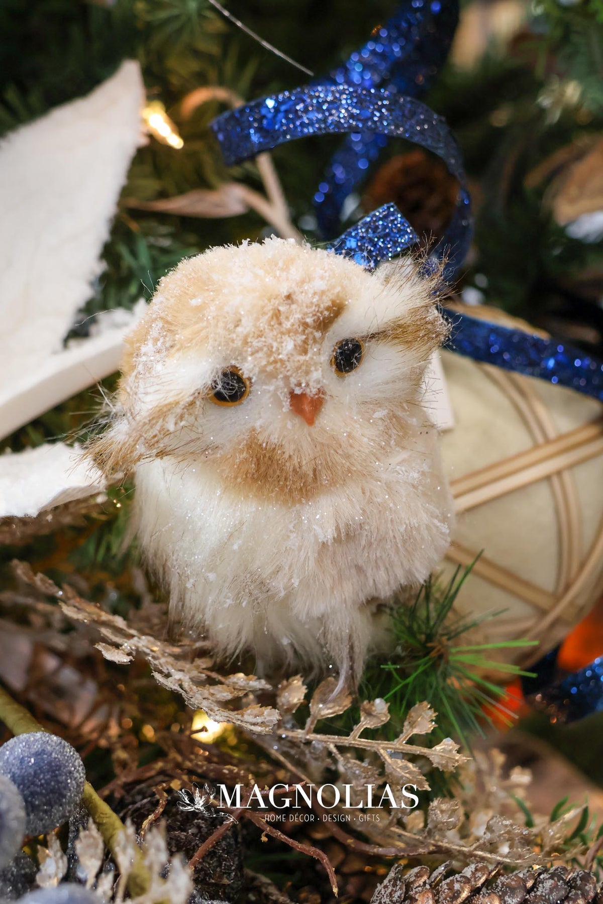 Snow Adorable Iced Owl Set