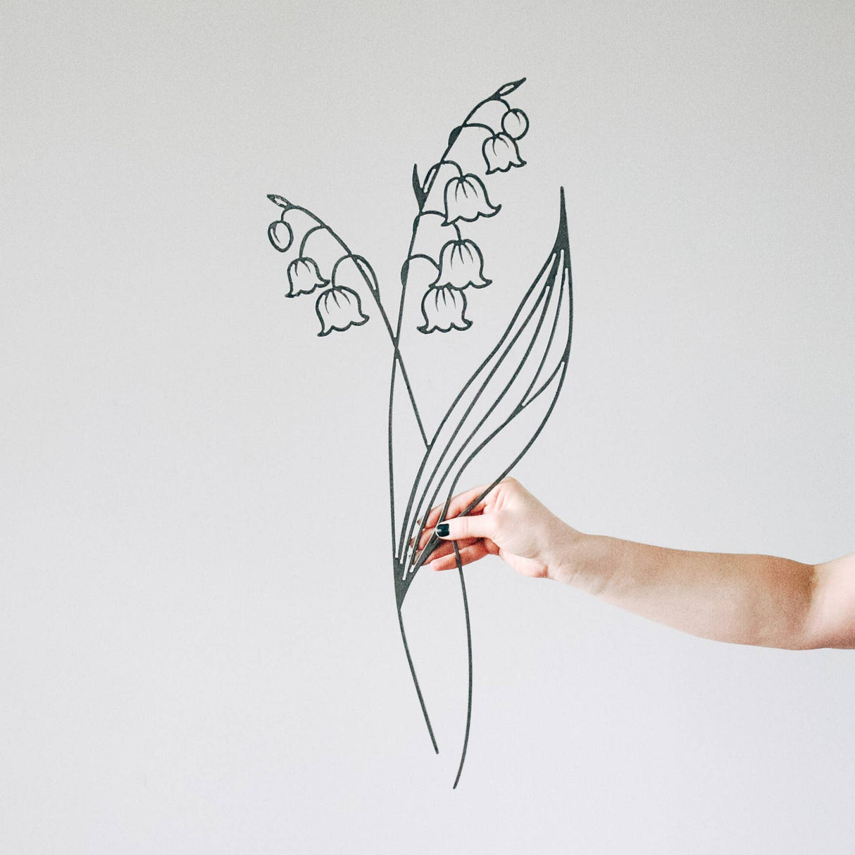Lily of the Valley Steel Flower