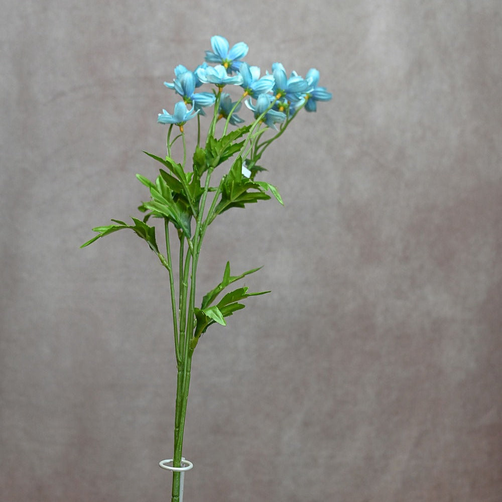 Mini Cosmos Spray - Aqua Blue