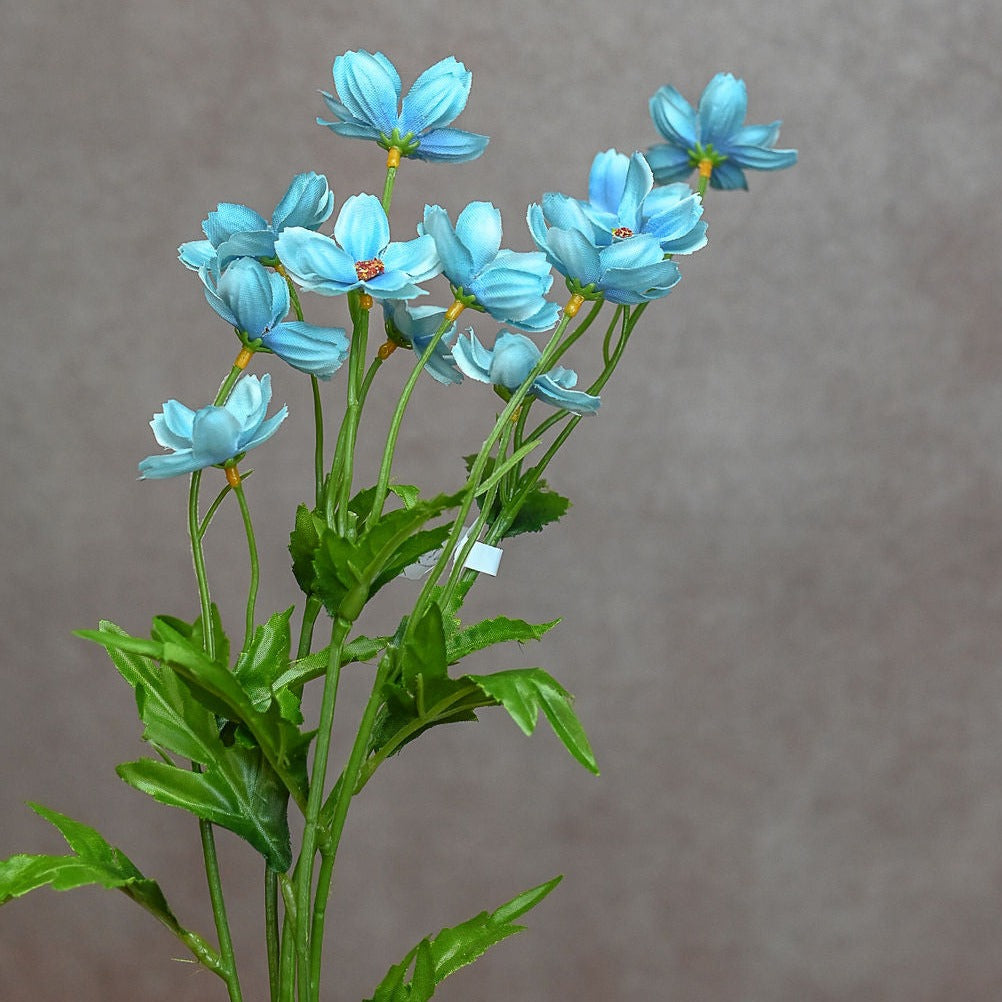 Mini Cosmos Spray - Aqua Blue