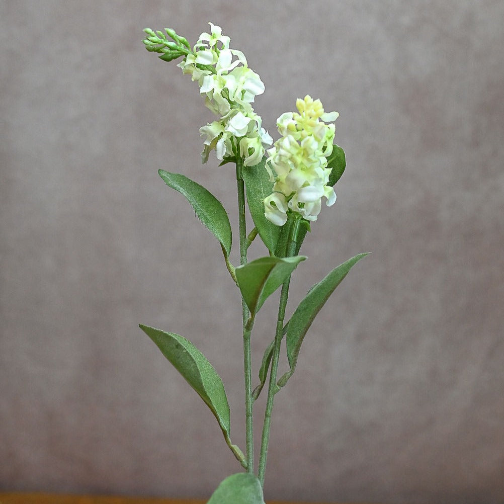 Cream Blue Bonnet Spray