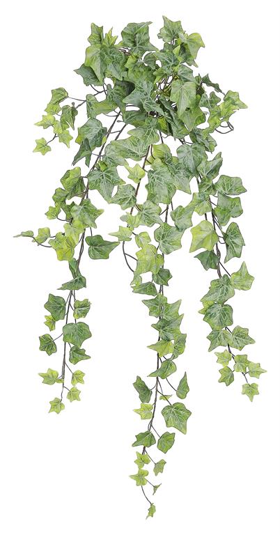 Mini Frosted Hanging Ivy