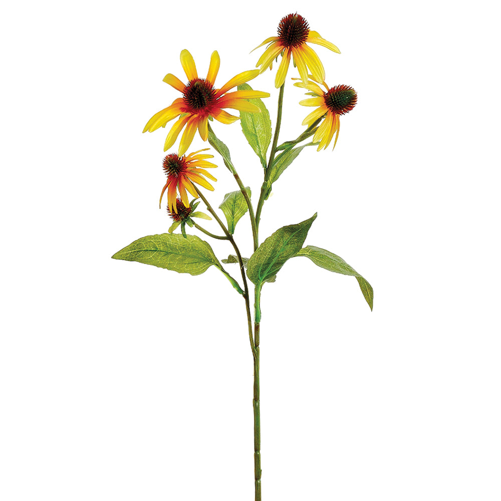Yellow Echinacea Spray
